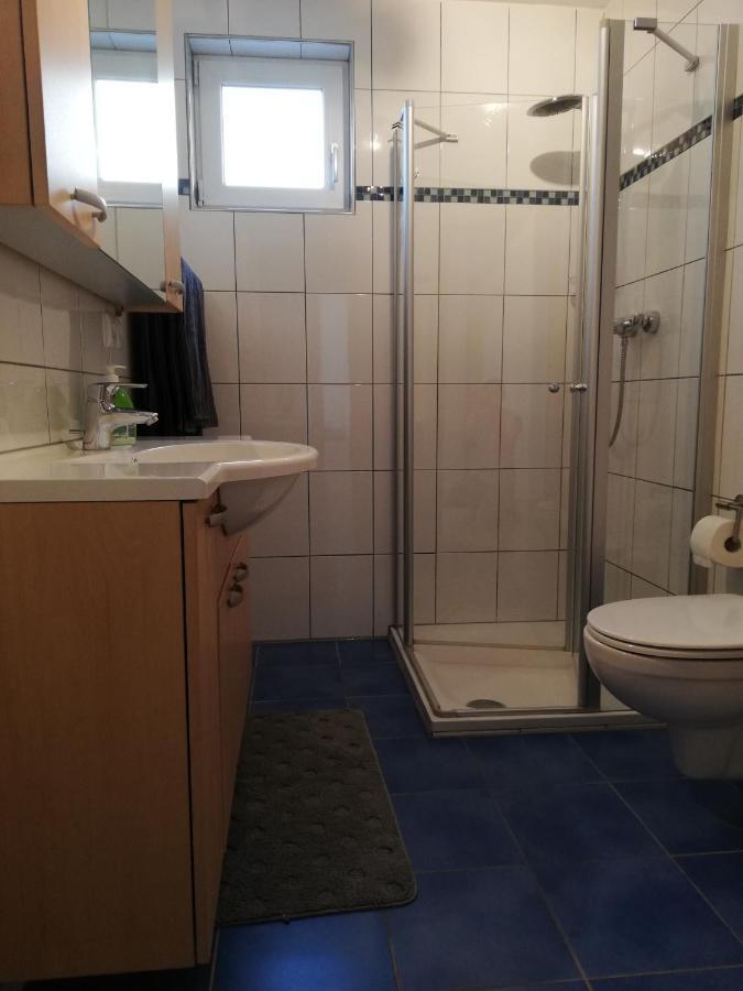 Ferienwohnung Weingut Brutscher Roschbach Dış mekan fotoğraf